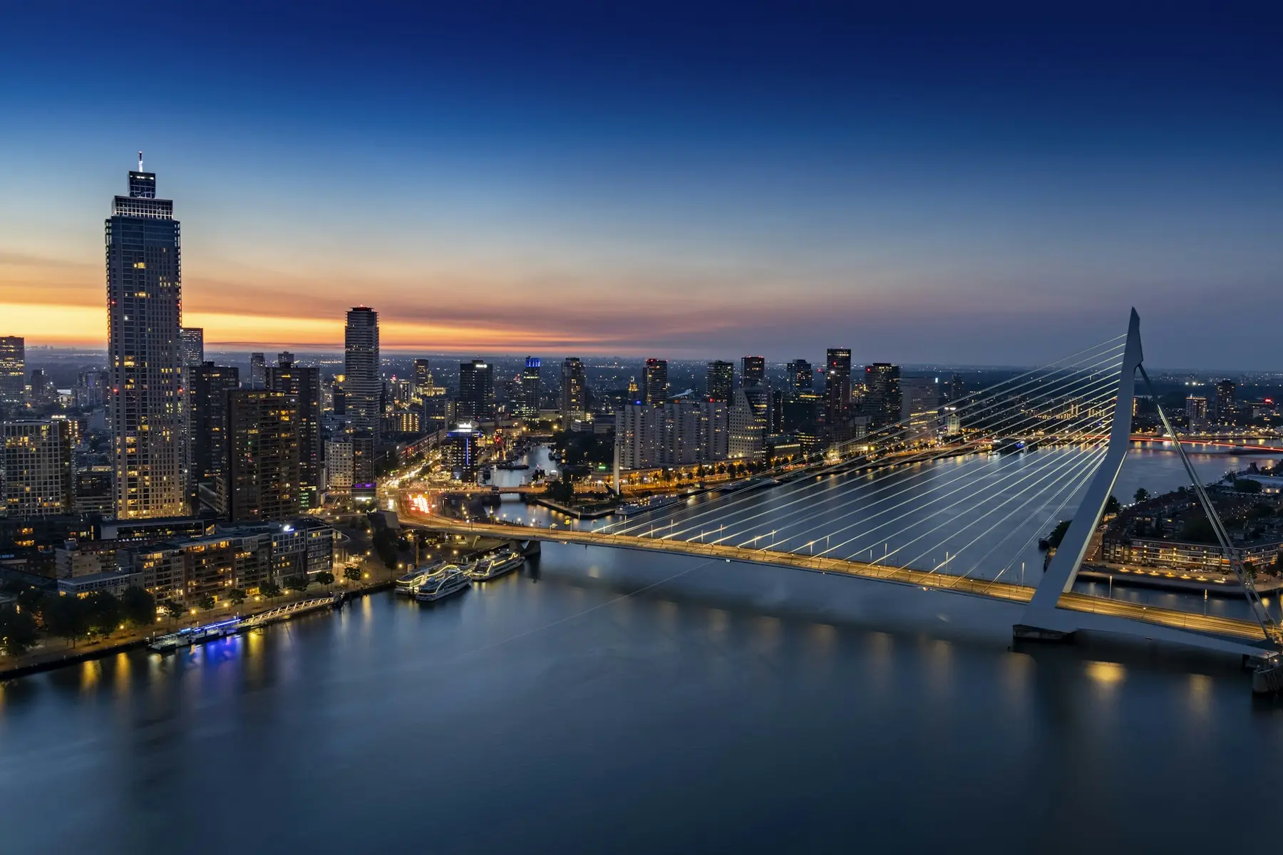 Rotterdam skyline and Erasmus Bridge at blue hour